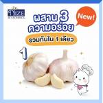THAI SEASONING