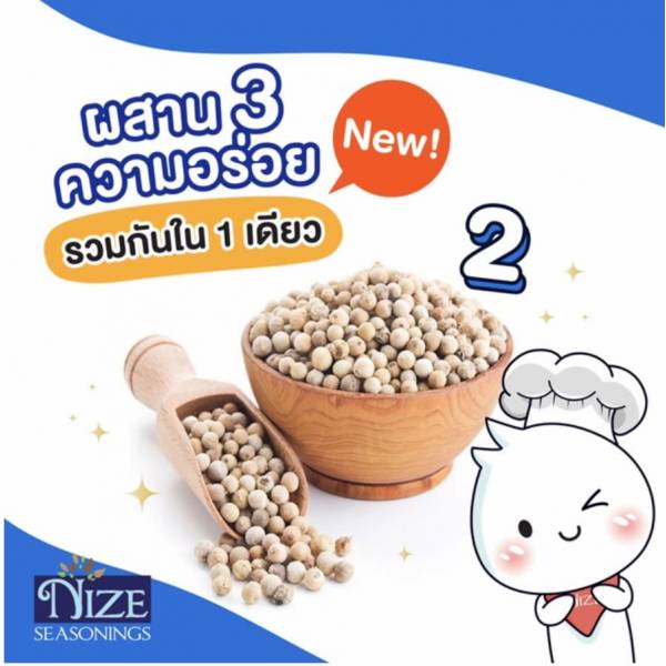 THAI SEASONING