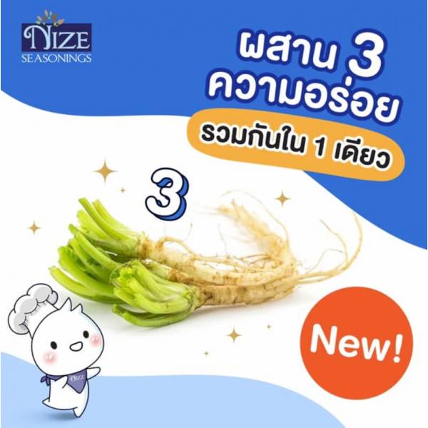 THAI SEASONING