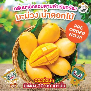 HONEY MANGO 1 KG.