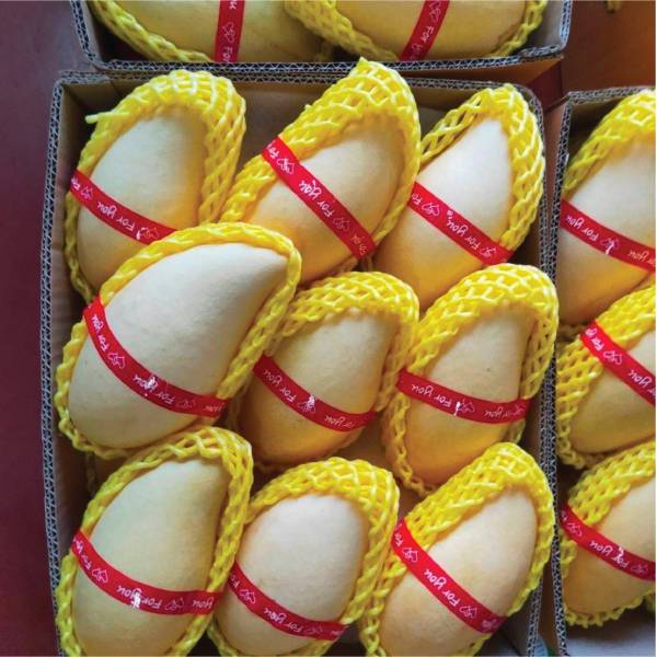 HONEY MANGO 1 KG.