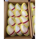 HONEY MANGO 1 KG.