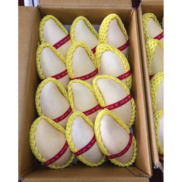 HONEY MANGO 1 KG.